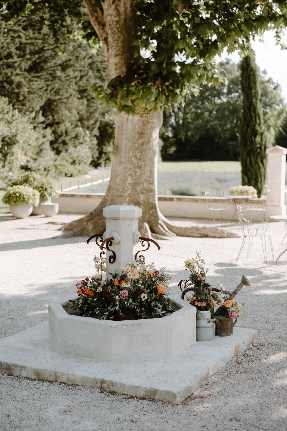 Mas D'Arvieux stone fountain with flowers and vintage watering cans beneath plane tree in Provence courtyard