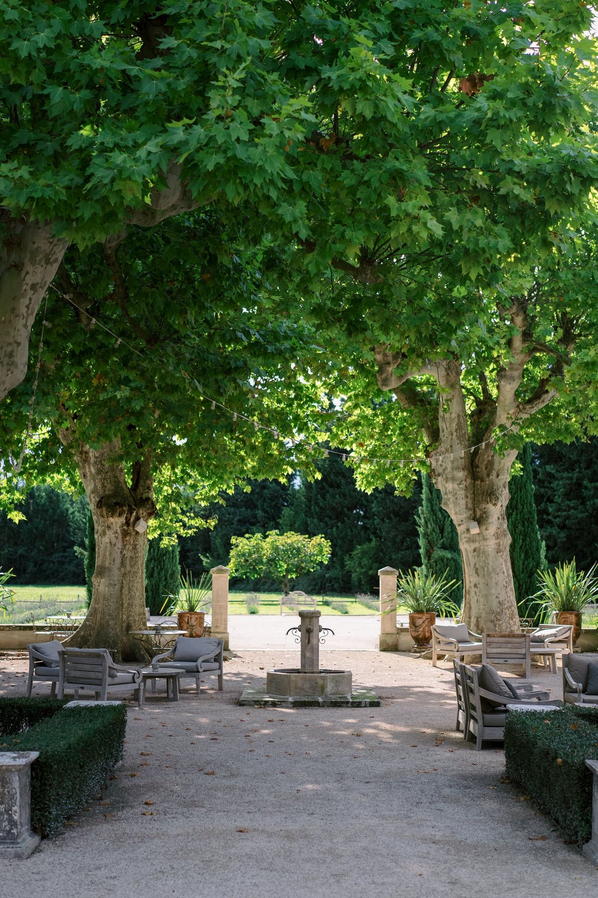 Mas D'Arvieux swimming pool framed by twin cypress trees and terracotta urns