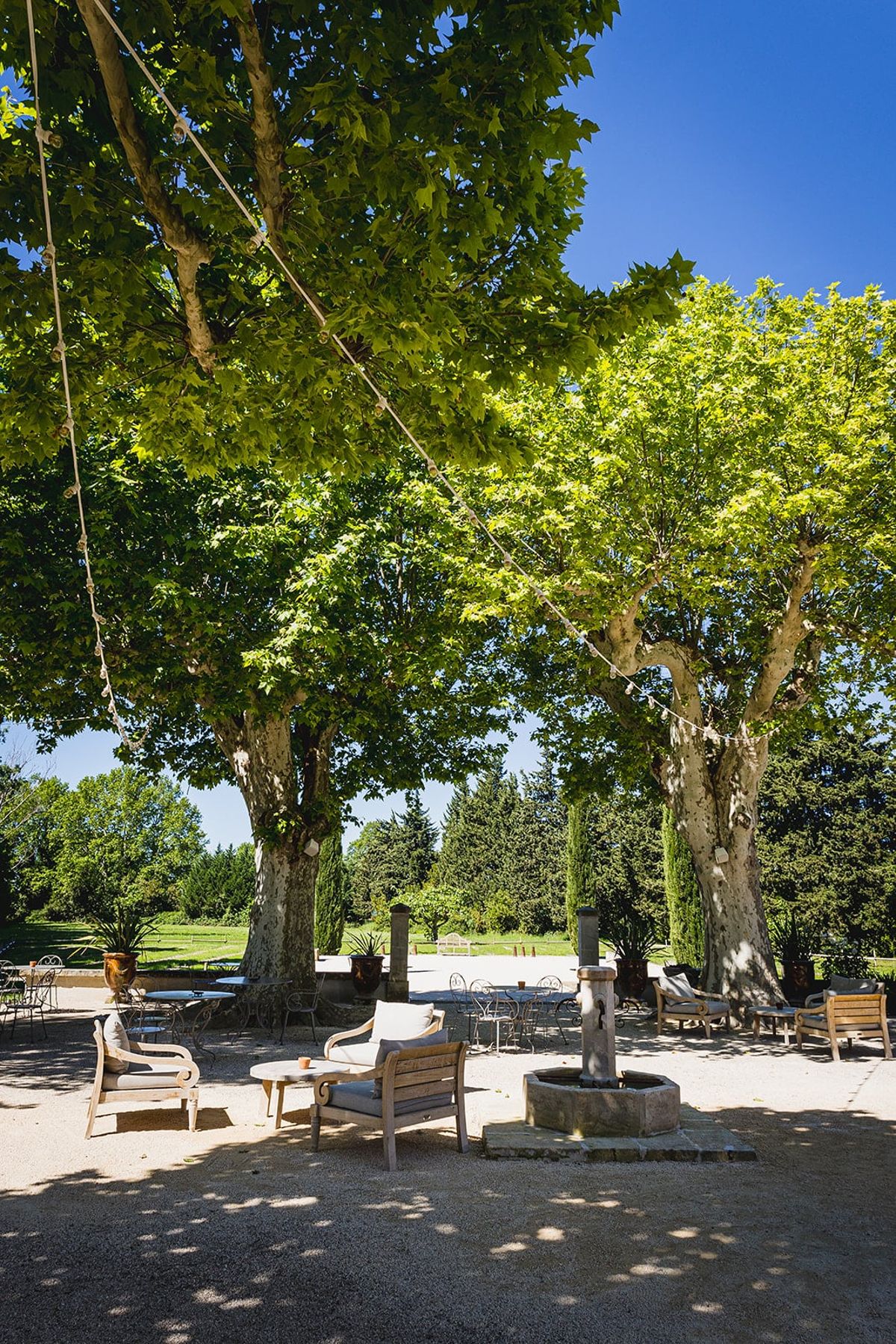Mas D'Arvieux swimming pool framed by tall cypress trees in the garden