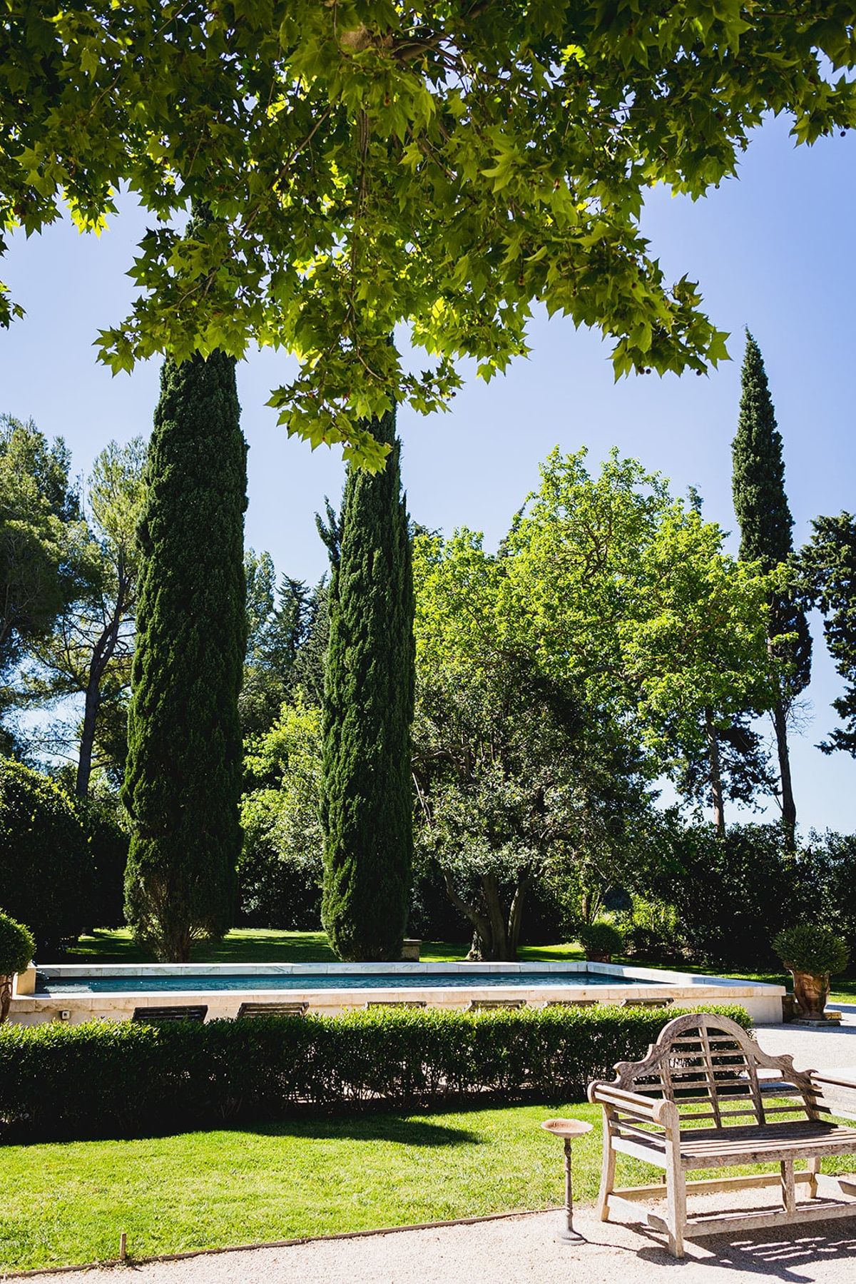 Mas D'Arvieux entrance gate and driveway lined with cypress trees