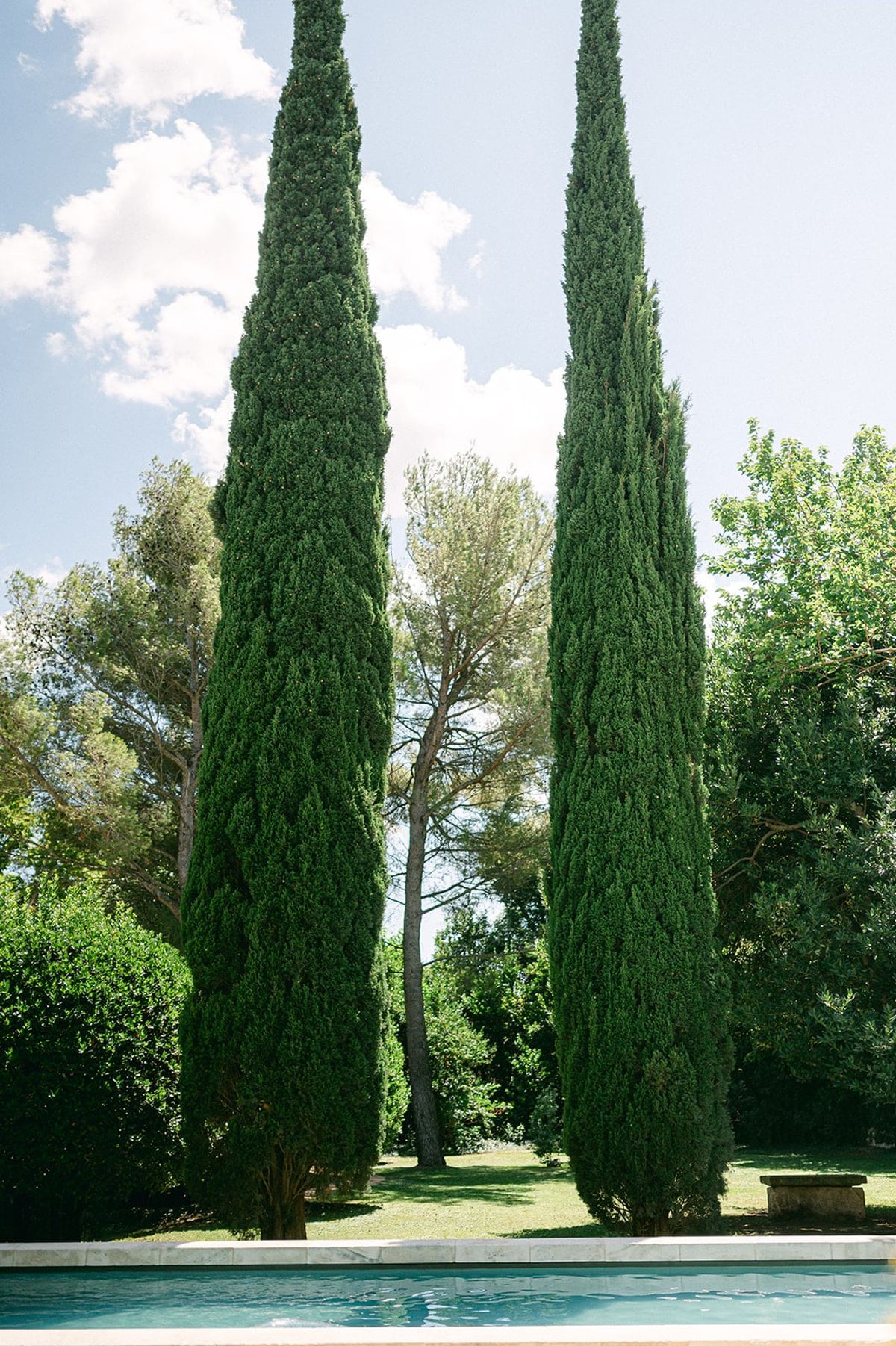Mas D'Arvieux swimming pool framed by tall cypress trees in the garden