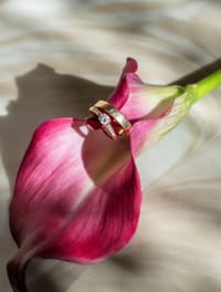 Poppy Bloom