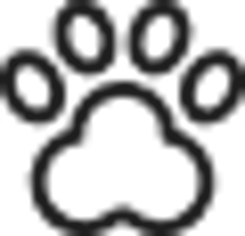 This image does not appear to be a wedding photograph. It shows a simple black paw print icon on a white background — a basic graphic or logo element, not a photographic image of any kind.