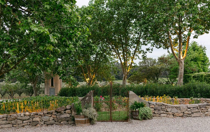 Iron gate in dry-stone wall opening to tree-lined path with festoon lights at dusk