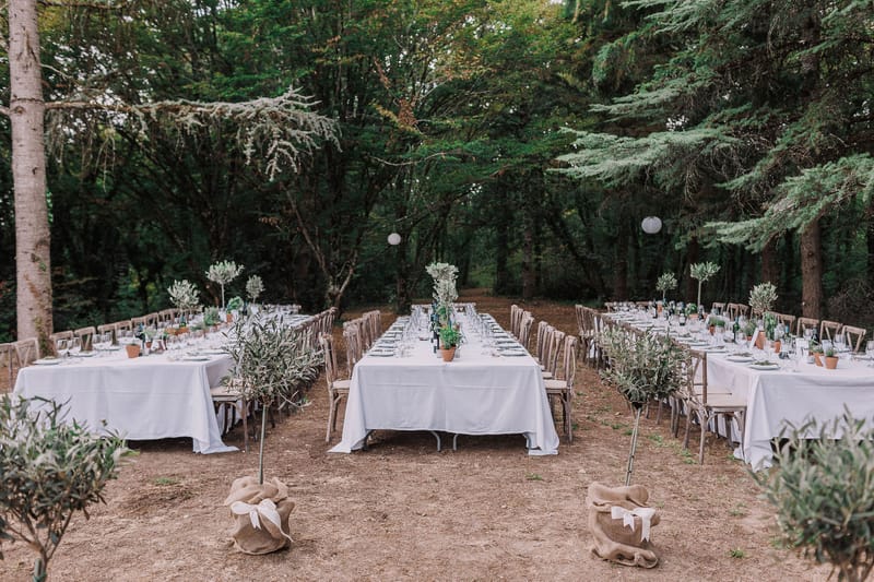 An outdoor wedding reception setup in a wooded forest clearing, showing multiple long banquet tables arranged in parallel rows with white linen tablecloths and natural wood cross-back chairs. The centerpieces consist of small potted olive trees in terracotta pots placed along the table runners, with additional small potted herbs visible between place settings. Larger potted olive trees wrapped in burlap hessian sacking tied with white ribbon are positioned between the tables as floor-level decorations. The place settings include glassware, gray or slate-toned charger plates, and folded napkins, with wine bottles placed at intervals along the tables. White paper lanterns are hung between the trees overhead, and the overall styling palette is natural and rustic, combining white linens, warm wood tones, burlap, and greenery. The wide-angle shot is taken from a slightly elevated position looking down the length of the tables toward the tree line.