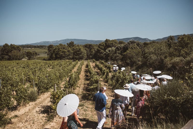 Twenty-five guests walking through vineyard rows carrying white paper parasols on sunny day