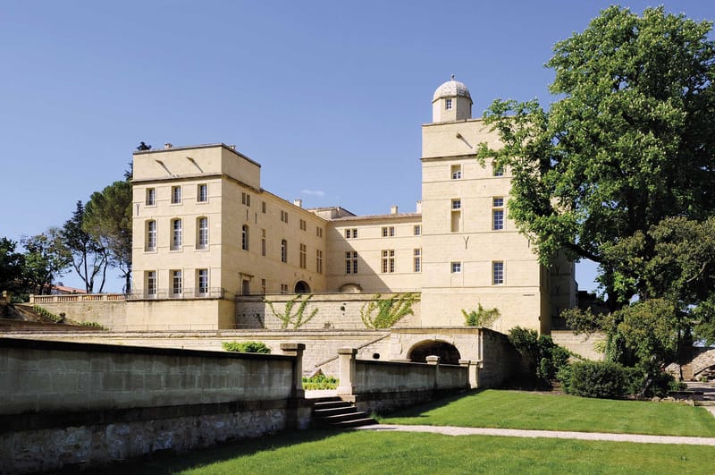 Exterior wide shot of a large French château built in pale cream/yellow limestone, featuring two prominent tower structures — one with a domed cupola — connected by a multi-storey central block with symmetrical windows. The building sits above a terraced stone wall with arched openings and a bridge-like entry approach, with climbing vines growing across the lower façade. The foreground shows a well-maintained lawn and a gravel path leading toward stone steps. No people are visible in the image. Potential venue feature image.