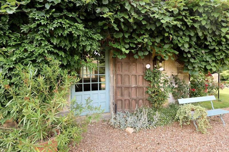 A wide shot of the exterior facade of a venue outbuilding or garden structure, featuring a large weathered wooden door with panel detailing paired with a pale duck-egg blue glazed door with grid-pane windows. The stone facade is heavily covered in climbing vines and foliage, with a climbing rose bearing pale pink blooms growing beside the wooden door. A light blue metal garden bench sits to the right of the entrance on a gravel path, flanked by low silvery-leafed ground cover plants and red-flowering climbing roses. No people are present in the image. Potential venue feature image.