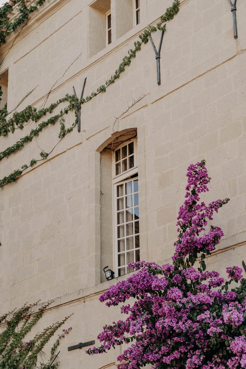 A close-up architectural shot of the exterior facade of a French château or manor house, showing a tall white-framed multi-pane window set into pale cream stone masonry. Green climbing vines are trained along the upper portion of the wall using metal brackets. In the foreground, a large bougainvillea in vivid violet-purple blooms fills the lower right of the frame, reaching upward toward the window. A small black wall-mounted lantern is visible on the window ledge. No people are present in the image. Potential venue feature image.