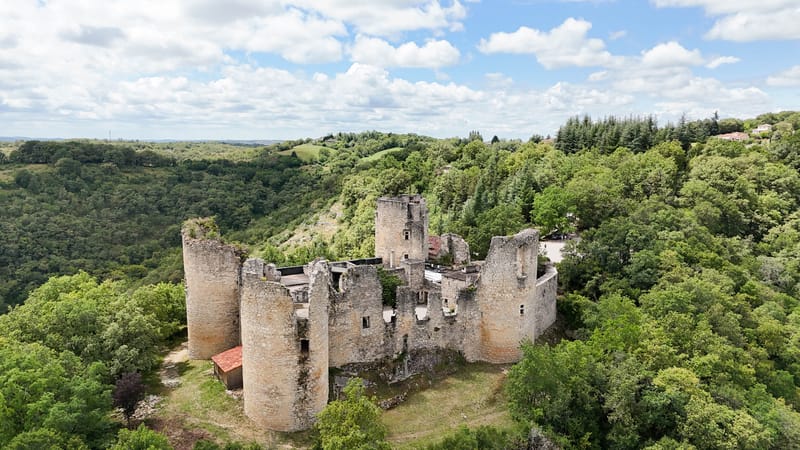 Aerial view of medieval castle ruin with cylindrical towers and crumbled walls on wooded hilltop