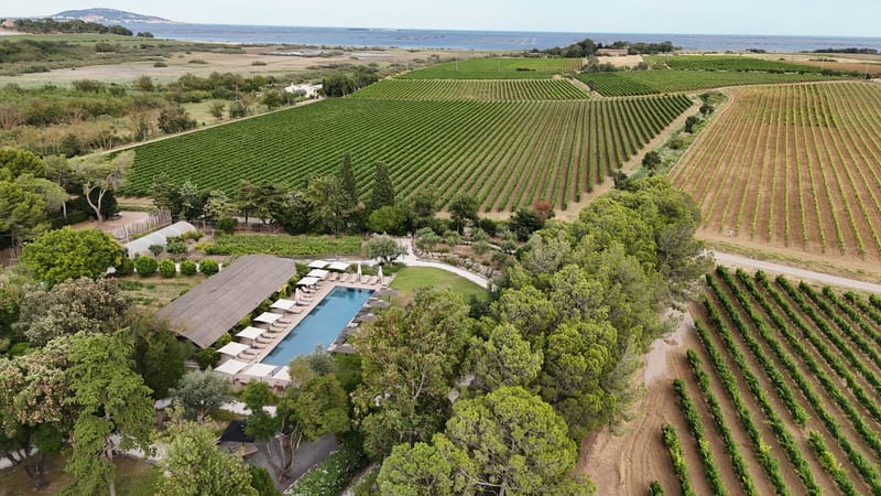 Aerial drone shot of a vineyard estate venue showing extensive grounds surrounded by rows of grapevines stretching across the property. The venue features a large rectangular swimming pool lined with cream-colored sun loungers and white parasols, adjacent to a substantial open-sided barn structure with a dark pitched roof. The pool area includes a curved lawn space and is framed by mature trees. A body of water, likely the Mediterranean Sea or a lagoon, is visible in the background along with additional vineyard plots extending to the horizon. No wedding guests or couple are visible in this shot. Potential venue feature image.