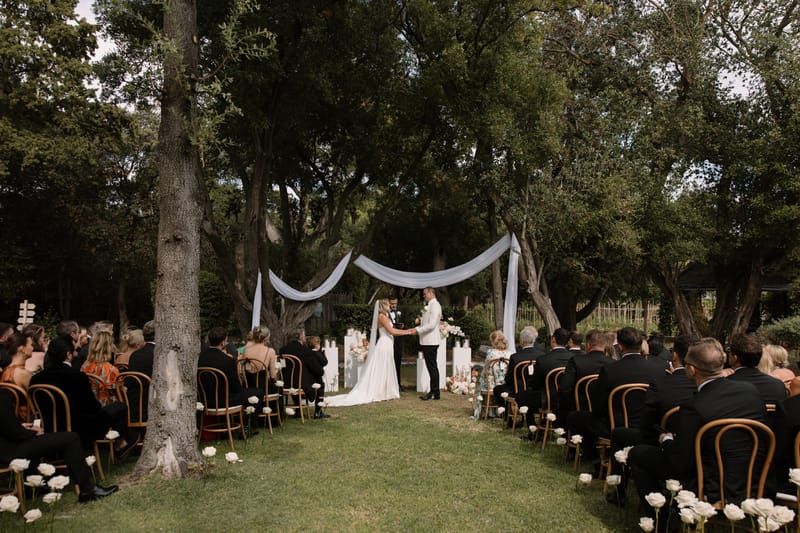 An outdoor wedding ceremony taking place on a lawn beneath a canopy of large mature trees. The couple stands at the altar holding hands — the bride wearing a white sleeveless gown with a long train and veil, and the groom in a white dinner jacket with black trousers and bow tie — while an officiant faces them. White fabric draping is strung between the tree trunks to create a natural arch effect above the altar, which is flanked by white pillar candle holders and arrangements of white and peach florals. Single white roses are placed on the lawn along both sides of the grass aisle. Approximately 60–80 guests are seated in bentwood chairs with honey-toned frames on either side of the aisle, with most guests dressed in black formal attire and a few in warm-toned outfits. The overall decor palette is white, ivory, and soft peach, with a classic outdoor garden style. Wide shot taken from the back of the aisle looking toward the altar.