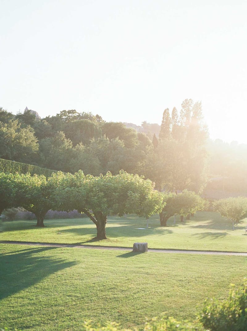 Manicured estate grounds at golden hour with ornamental trees and gravel pathway leading toward a chateau