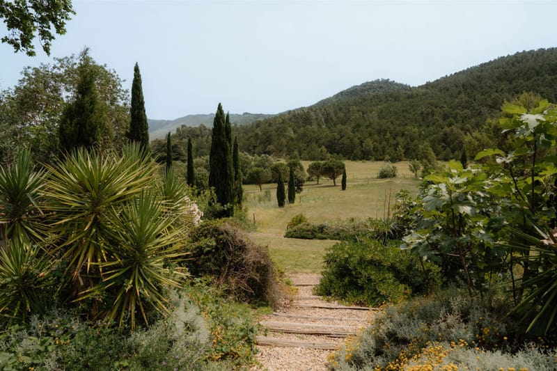 Garden pathway leading through Mediterranean plantings toward a meadow lined with cypress trees and forested hills