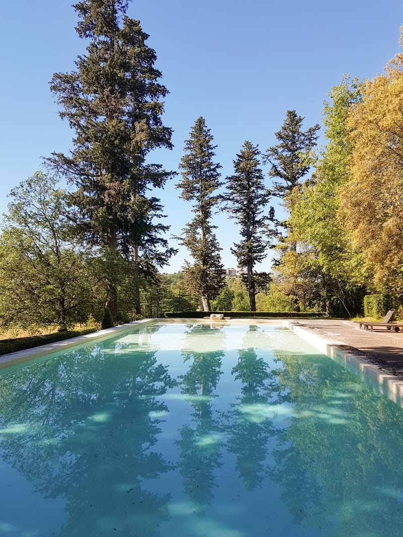 Rectangular pool with turquoise water stone surround trimmed hedging dark wood lounger and tall conifer reflections