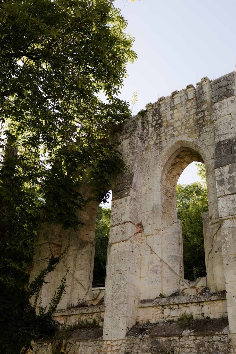 Historic stone ruin with large arched doorway and crenellated walls framed by mature foliage in natural light