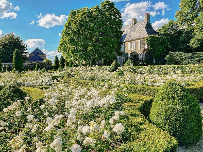 French manor house viewed from formal parterre garden with white roses and clipped boxwood hedges