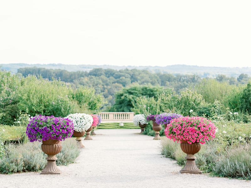 Formal garden pathway with stone urns of purple and pink petunias lavender borders and wooded hill views