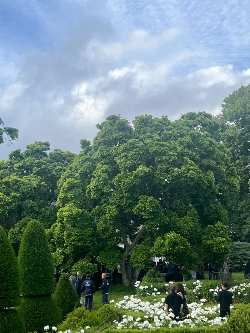 Guests mingling during cocktail hour in formal garden with conical topiary hedges and white peony borders