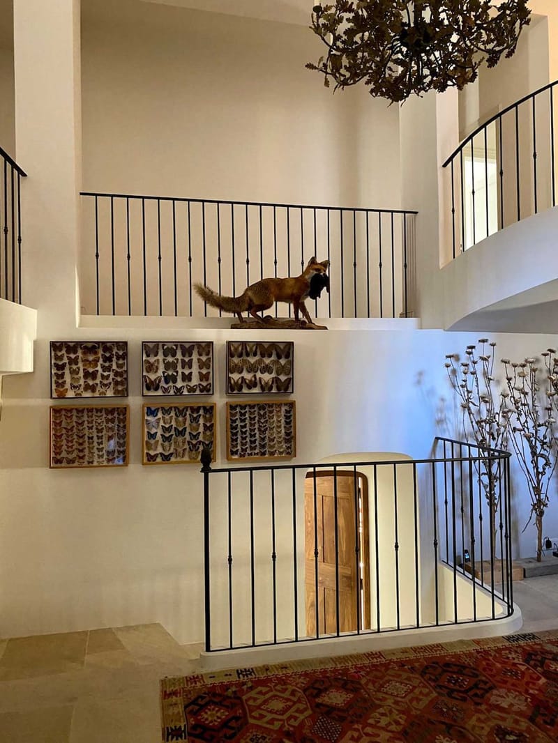 Double-height entrance hall with curved wrought-iron balustrades, dried botanical chandelier, and butterfly displays