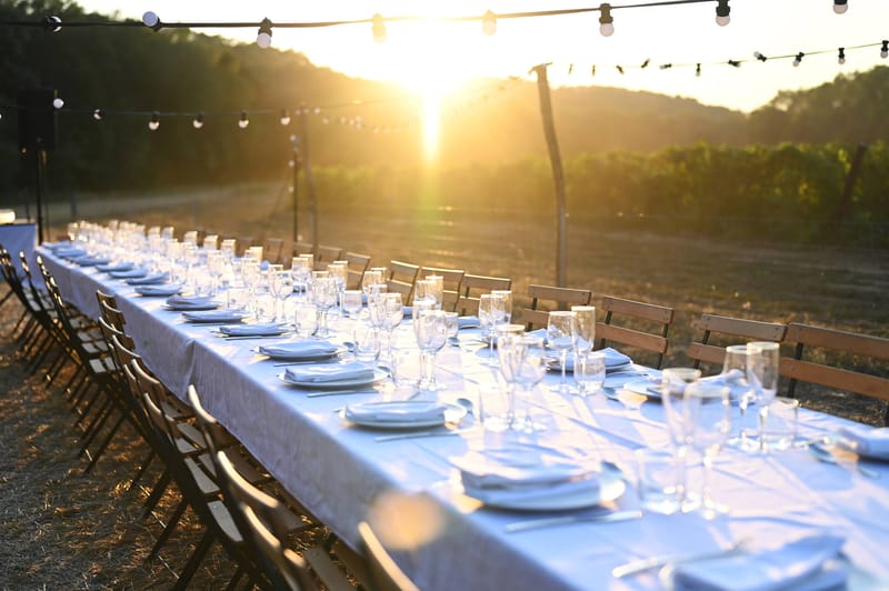 Minimal long table with white linens and globe string lights at sunset in vineyard with crop rows behind