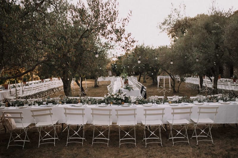 Outdoor wedding reception tables in an olive grove with eucalyptus garland runners, citrus accents, and string lights over...
