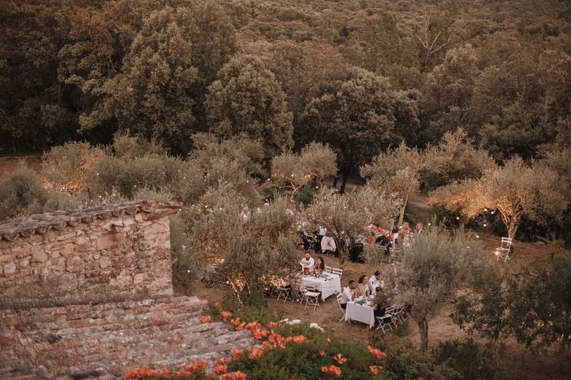 Aerial view of outdoor wedding dinner in an olive grove at dusk with fairy lights wrapped around trees