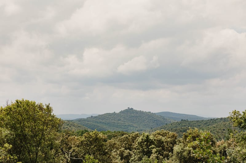 Panoramic view from venue grounds showing green tree canopy and medieval tower ruin on distant hilltop