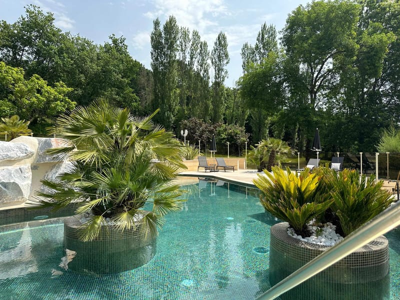 Freeform teal pool with palm-tree planters, rock water feature, and dark loungers at French venue