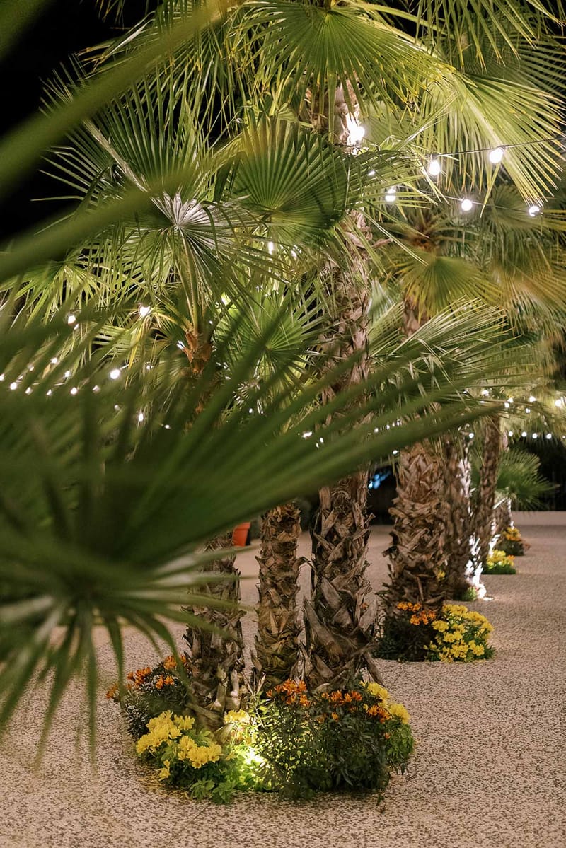 Fan palm trees along a gravel pathway decorated with globe string lights and uplighted yellow and orange floral bases at n...