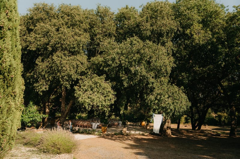 Wide view of al-fresco dining clearing under the oak grove in late afternoon golden light.