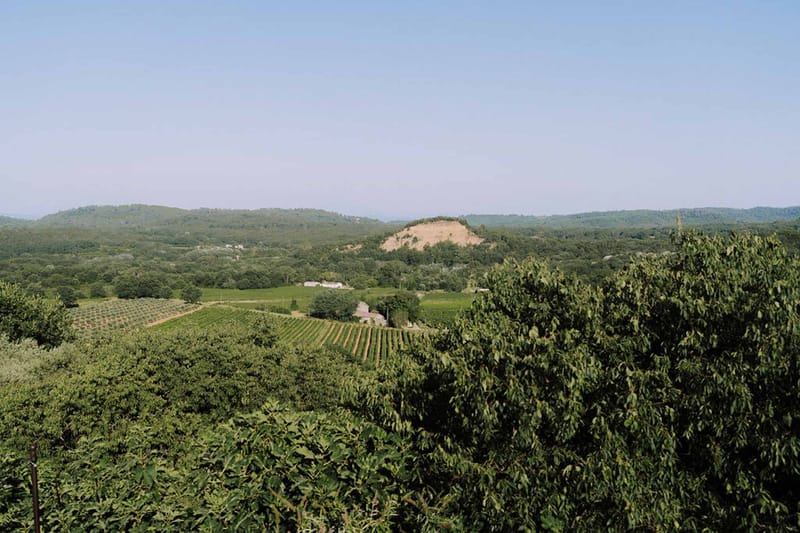 Elevated view of vineyard rows and orchard with stone agricultural building and rolling wooded hills beyond