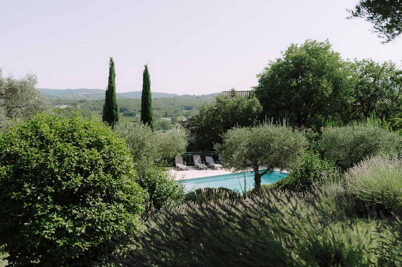 Provencal pool terrace with grey loungers olive trees lavender rows cypress trees and rolling vineyard hills beyond