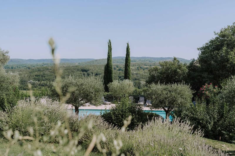 Provencal estate pool terrace with olive trees and cypress seen through soft-focus lavender foreground