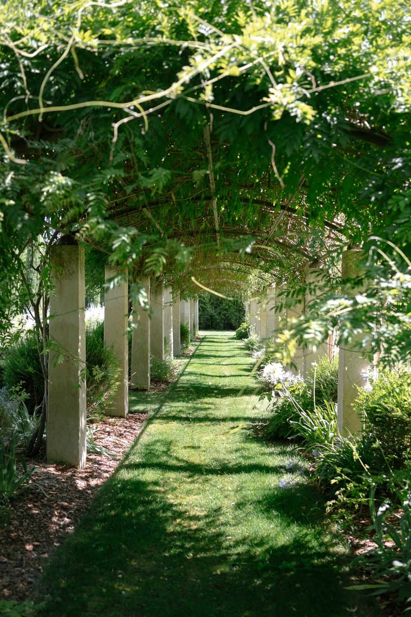 Garden pergola walkway with stone pillars and climbing wisteria forming green canopy over lawn pathway