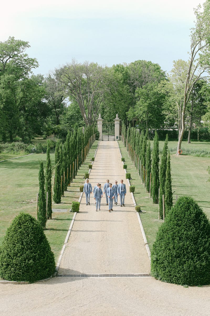 Groom and five groomsmen in light blue suits walking down cypress-lined allee at chateau estate