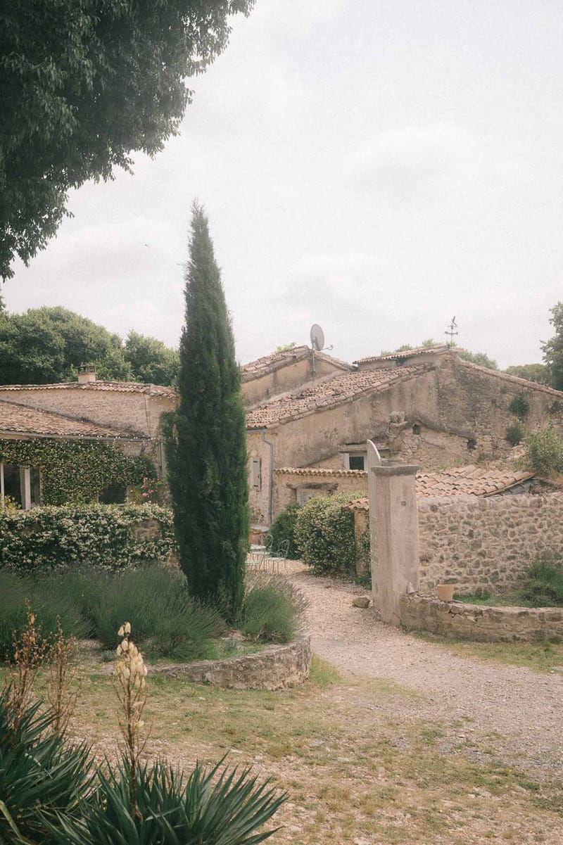 Rustic honey-stone mas with terracotta roof cypress tree lavender agave and gravel courtyard on overcast day