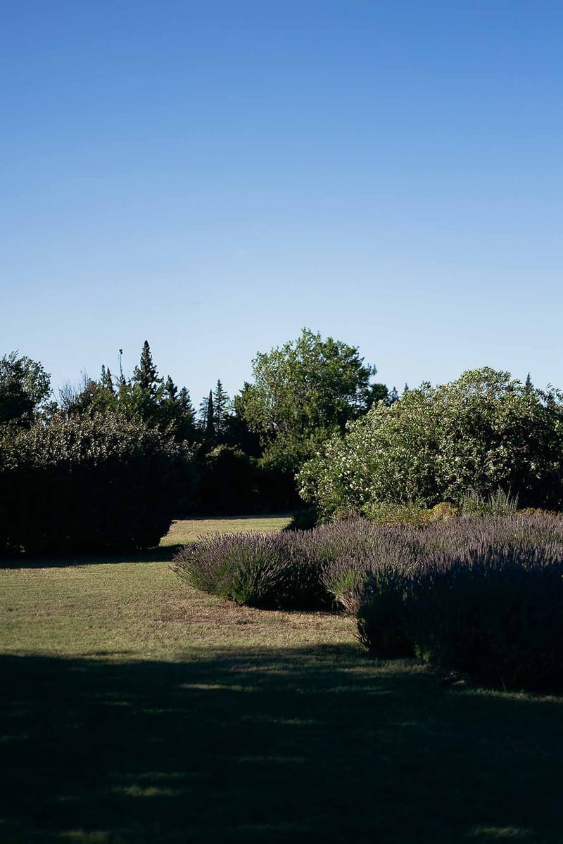 Bastide des Barattes lavender field in sunlight — signature Provençal countryside setting