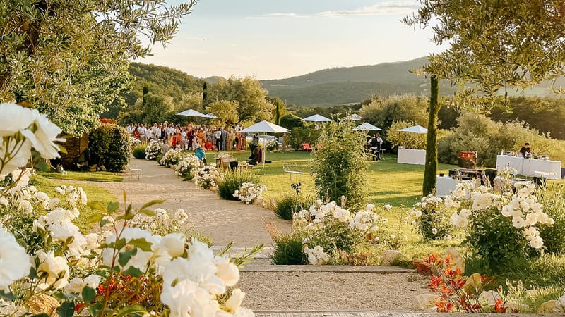 Wide golden hour view of 50 guests gathering on gravel path lined with white roses and olive trees