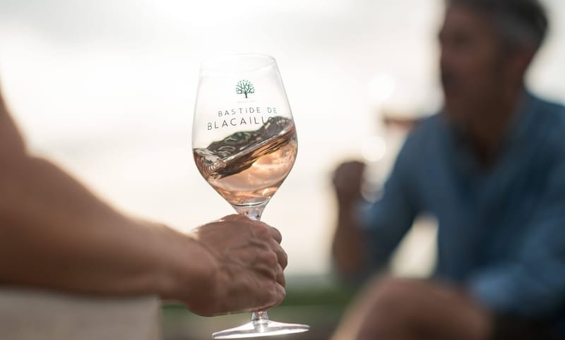 Domaine de Blacailloux vineyard landscape in Provence