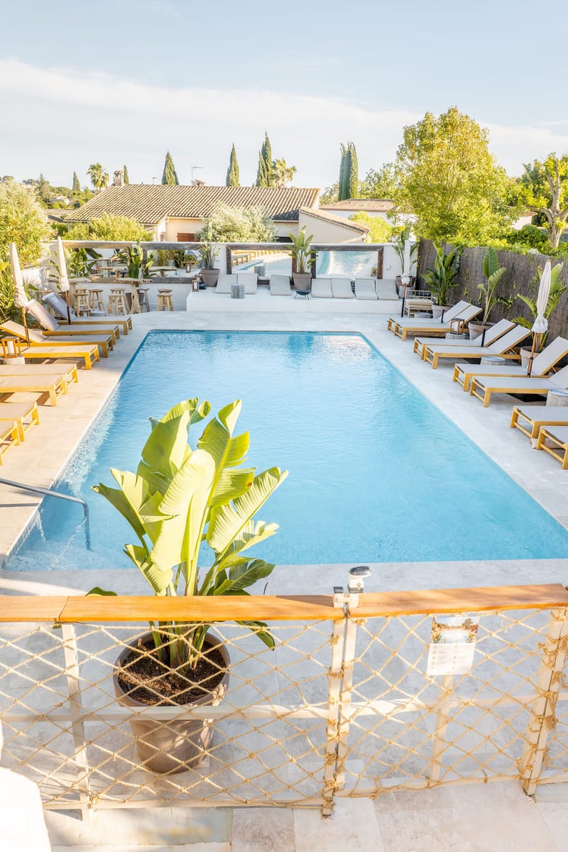 The swimming pool framed by tropical planting