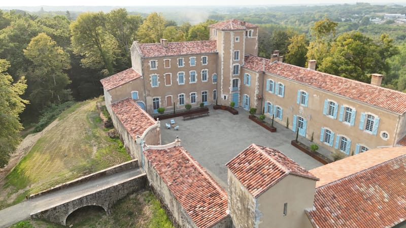 Aerial view of the enclosed Cour du Château, the courtyard framed by the château's stone walls and tiled roofs.