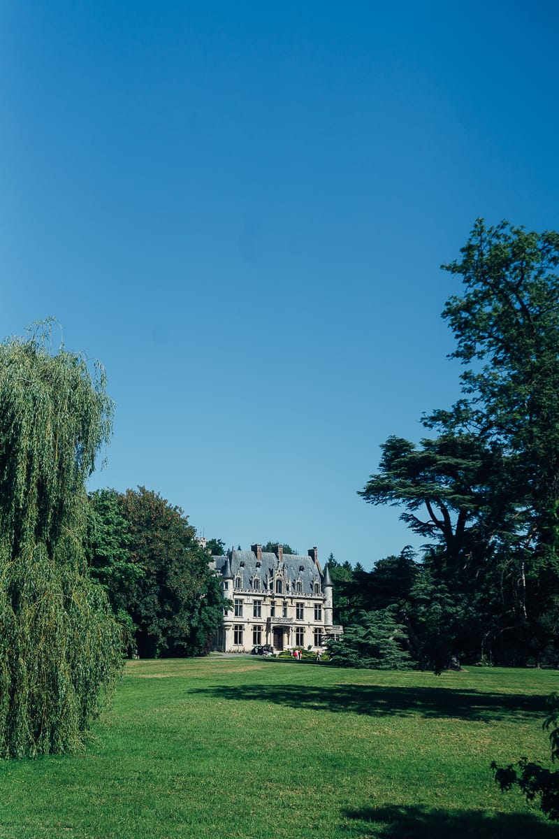 The château seen across open lawns from the far side of the park, framed by a weeping willow