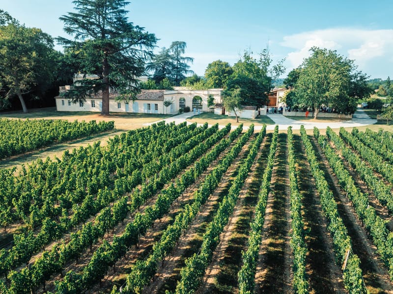 Aerial shot of Chateau de l'Hospital framed by organic Graves vineyard rows in the foreground
