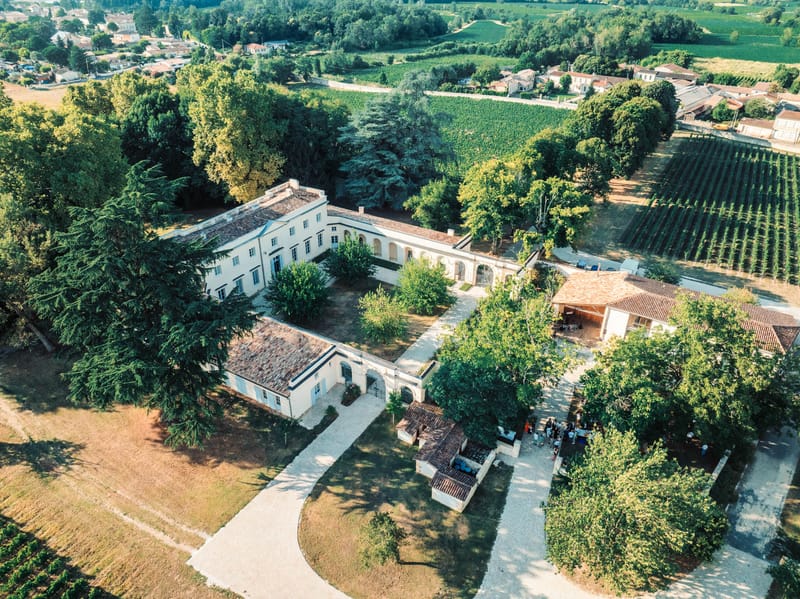 Wide aerial of the full Chateau de l'Hospital property with the village of Portets visible in the distance
