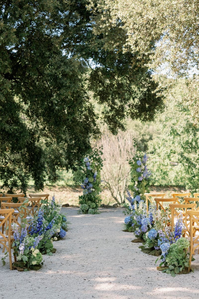 Outdoor ceremony aisle with blue delphiniums and floral arch under oak trees at Domaine de Valbonne