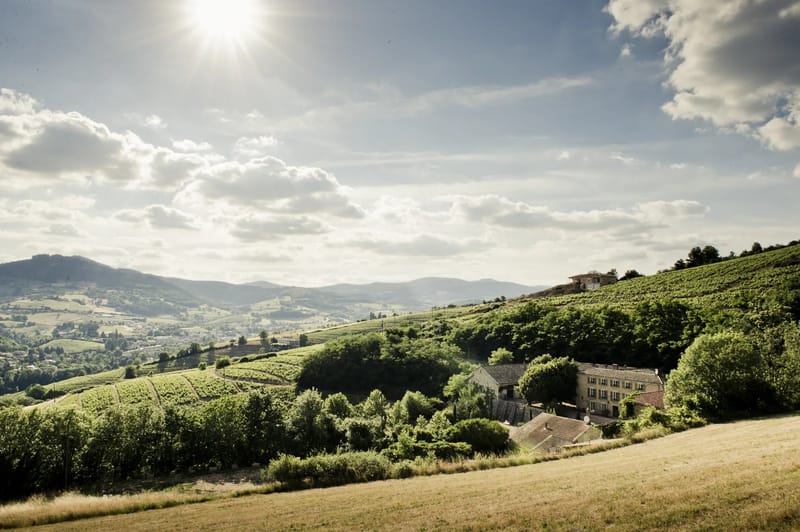 Domaine de Vavril's maison de maitre set into the Beaujolais vineyard hillsides