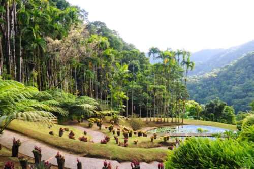 martinique wedding venues 3 1