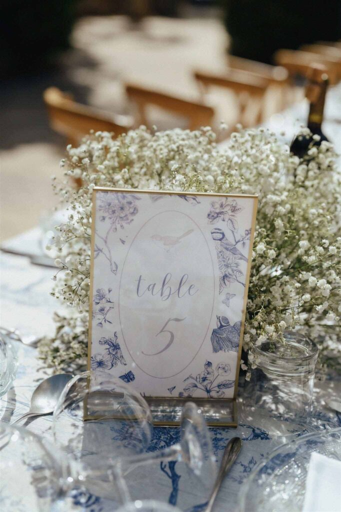 table number gypsophila flower