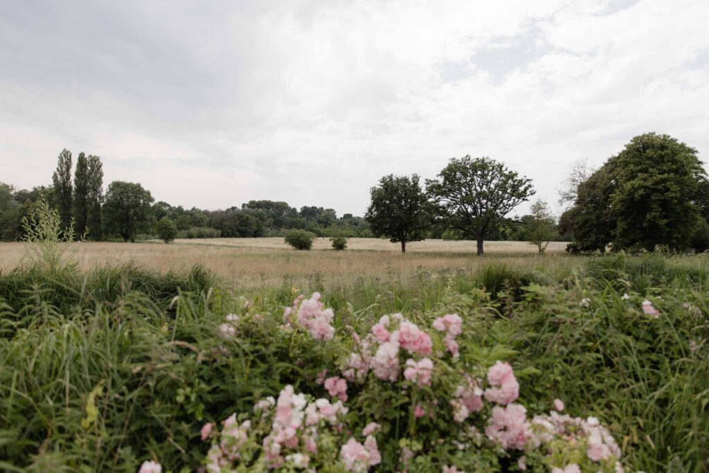 Chateau de Martinay Despinoy Wedding open field pink flowers